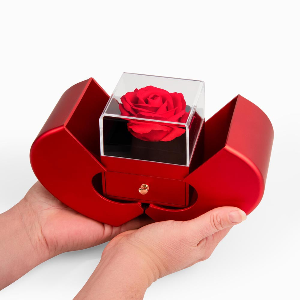 My Love-Love Knot Necklace with Red Heart Rose Box